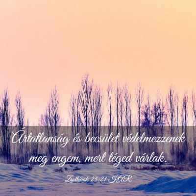 Picture 03 - Zsoltárok 25:21 KAR - Ártatlanság és becsület védelmezzenek meg - Bible Verse Picture