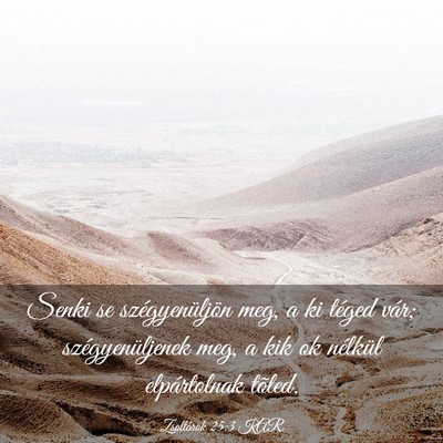 Picture 03 - Zsoltárok 25:3 KAR - Senki se szégyenüljön meg, a ki téged vár; - Bible Verse Picture