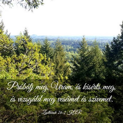 Picture 03 - Zsoltárok 26:2 KAR - Próbálj meg, Uram, és kisérts meg, és - Bible Verse Picture