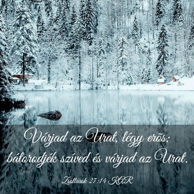 Picture 03 - Zsoltárok 27:14 KAR - Várjad az Urat, légy erõs; bátorodjék - Bible Verse Picture