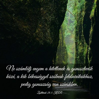 Picture 03 - Zsoltárok 28:3 KAR - Ne számlálj engem a hitetlenek és gonosztevõk - Bible Verse Picture