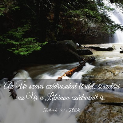 Picture 03 - Zsoltárok 29:5 KAR - Az Úr szava czédrusokat tördel, összetöri az - Bible Verse Picture