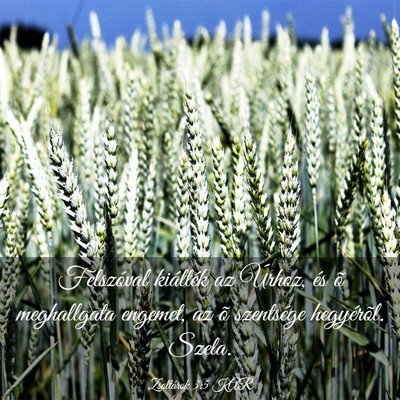 Picture 03 - Zsoltárok 3:5 KAR - Felszóval kiálték az Úrhoz, és õ - Bible Verse Picture