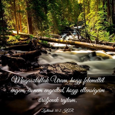 Picture 03 - Zsoltárok 30:2 KAR - Magasztallak Uram, hogy felemeltél engem, és - Bible Verse Picture