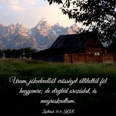 Picture 03 - Zsoltárok 30:8 KAR - Uram, jókedvedbõl erõsséget állítottál - Bible Verse Picture