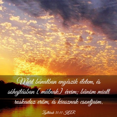 Picture 03 - Zsoltárok 31:11 KAR - Mert bánatban enyészik életem, és - Bible Verse Picture
