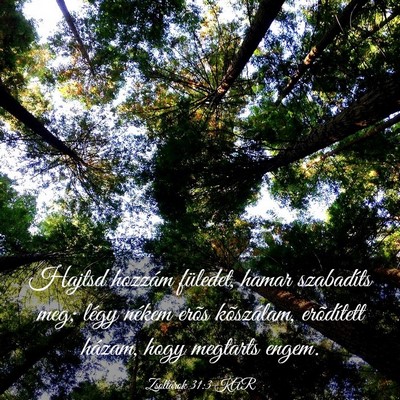 Picture 03 - Zsoltárok 31:3 KAR - Hajtsd hozzám füledet, hamar szabadíts meg; - Bible Verse Picture