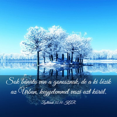 Picture 03 - Zsoltárok 32:10 KAR - Sok bánata van a gonosznak, de a ki bízik az - Bible Verse Picture