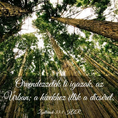 Picture 03 - Zsoltárok 33:1 KAR - Örvendezzetek ti igazak, az Úrban; a hívekhez - Bible Verse Picture