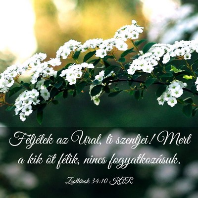 Picture 03 - Zsoltárok 34:10 KAR - Féljétek az Urat, ti szentjei! Mert a kik õt - Bible Verse Picture