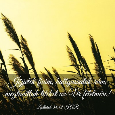 Picture 03 - Zsoltárok 34:12 KAR - Jõjjetek fiaim, hallgassatok rám, megtanítlak - Bible Verse Picture