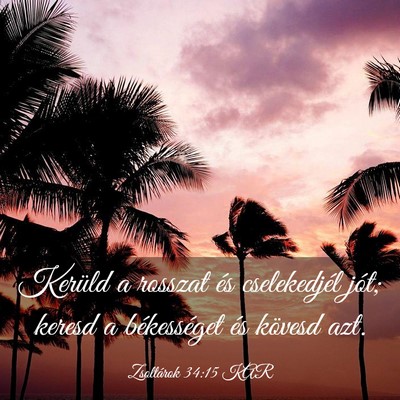 Picture 03 - Zsoltárok 34:15 KAR - Kerüld a rosszat és cselekedjél jót; keresd a - Bible Verse Picture