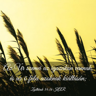 Picture 03 - Zsoltárok 34:16 KAR - Az Úr szemei az igazakon vannak, és az õ - Bible Verse Picture