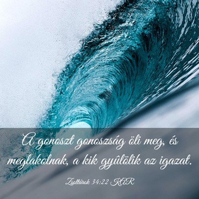 Picture 03 - Zsoltárok 34:22 KAR - A gonoszt gonoszság öli meg, és meglakolnak, a - Bible Verse Picture