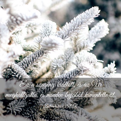 Picture 03 - Zsoltárok 34:7 KAR - Ez a szegény kiáltott, és az Úr meghallgatta, - Bible Verse Picture