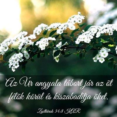Picture 03 - Zsoltárok 34:8 KAR - Az Úr angyala tábort jár az õt félõk - Bible Verse Picture