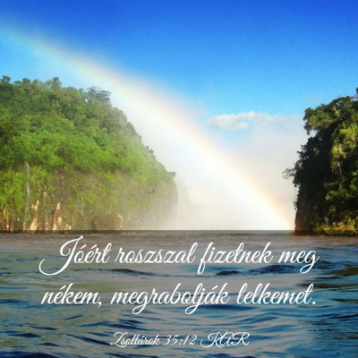 Picture 03 - Zsoltárok 35:12 KAR - Jóért roszszal fizetnek meg nékem, - Bible Verse Picture