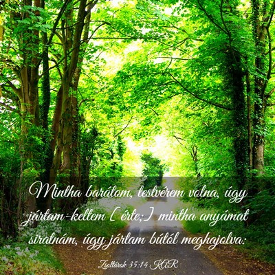Picture 03 - Zsoltárok 35:14 KAR - Mintha barátom, testvérem volna, úgy - Bible Verse Picture