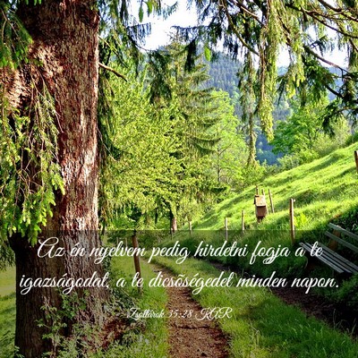 Picture 03 - Zsoltárok 35:28 KAR - Az én nyelvem pedig hirdetni fogja a te - Bible Verse Picture