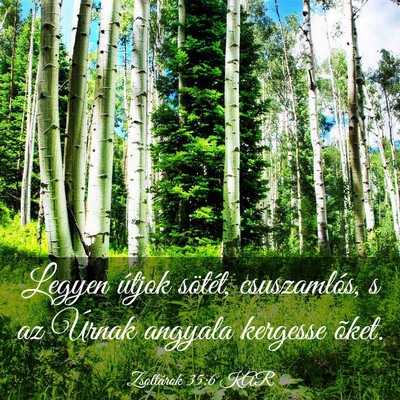 Picture 03 - Zsoltárok 35:6 KAR - Legyen útjok sötét, csuszamlós, s az Úrnak - Bible Verse Picture