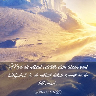 Picture 03 - Zsoltárok 35:7 KAR - Mert ok nélkül vetették elém titkon vont - Bible Verse Picture
