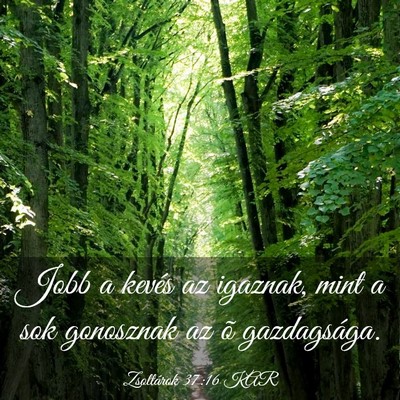Picture 03 - Zsoltárok 37:16 KAR - Jobb a kevés az igaznak, mint a sok gonosznak az - Bible Verse Picture