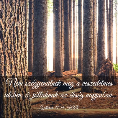 Picture 03 - Zsoltárok 37:19 KAR - Nem szégyenülnek meg a veszedelmes idõben, és - Bible Verse Picture