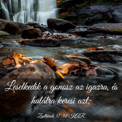 Picture 03 - Zsoltárok 37:32 KAR - Leselkedik a gonosz az igazra, és halálra - Bible Verse Picture