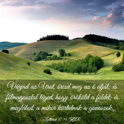 Picture 03 - Zsoltárok 37:34 KAR - Várjad az Urat, õrizd meg az õ útját; és - Bible Verse Picture