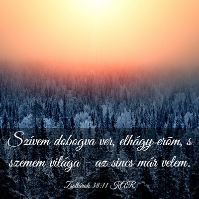 Picture 03 - Zsoltárok 38:11 KAR - Szívem dobogva ver, elhágy erõm, s szemem - Bible Verse Picture