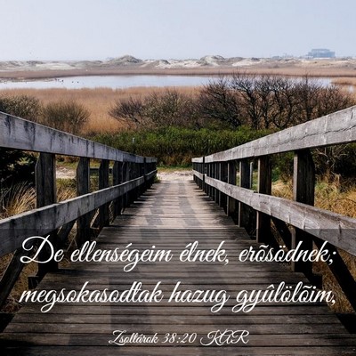 Picture 03 - Zsoltárok 38:20 KAR - De ellenségeim élnek, erõsödnek; - Bible Verse Picture