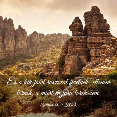 Picture 03 - Zsoltárok 38:21 KAR - És a kik jóért roszszal fizetnek; ellenem - Bible Verse Picture