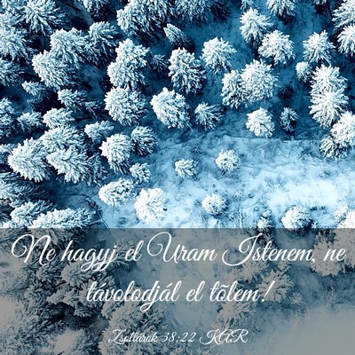 Picture 03 - Zsoltárok 38:22 KAR - Ne hagyj el Uram Istenem, ne távolodjál el - Bible Verse Picture