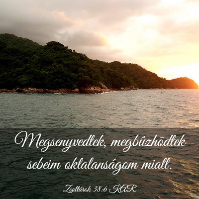 Picture 03 - Zsoltárok 38:6 KAR - Megsenyvedtek, megbûzhödtek sebeim - Bible Verse Picture