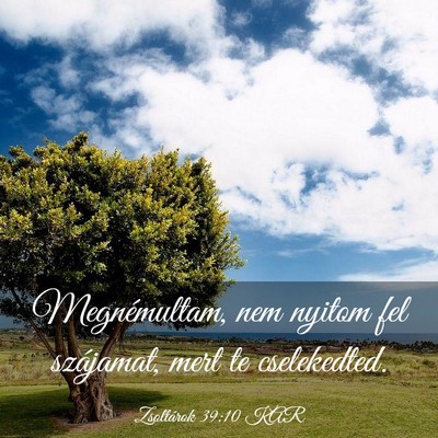 Picture 03 - Zsoltárok 39:10 KAR - Megnémultam, nem nyitom fel szájamat, mert te - Bible Verse Picture