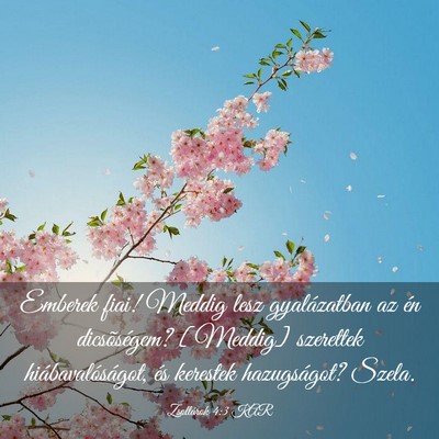 Picture 03 - Zsoltárok 4:3 KAR - Emberek fiai! Meddig lesz gyalázatban az én - Bible Verse Picture