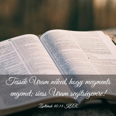 Picture 03 - Zsoltárok 40:14 KAR - Tessék Uram néked, hogy megments engemet; siess - Bible Verse Picture