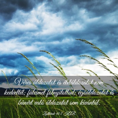 Picture 03 - Zsoltárok 40:7 KAR - Véres áldozatot és ételáldozatot nem - Bible Verse Picture