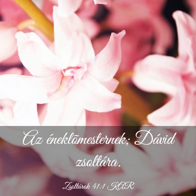 Picture 03 - Zsoltárok 41:1 KAR - Az éneklõmesternek; Dávid - Bible Verse Picture