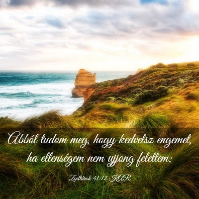 Picture 03 - Zsoltárok 41:12 KAR - Abból tudom meg, hogy kedvelsz engemet, ha - Bible Verse Picture
