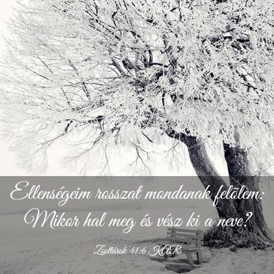 Picture 03 - Zsoltárok 41:6 KAR - Ellenségeim rosszat mondanak felõlem: Mikor hal - Bible Verse Picture
