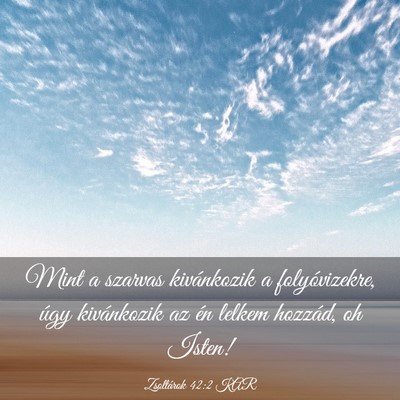 Picture 03 - Zsoltárok 42:2 KAR - Mint a szarvas kivánkozik a folyóvizekre, úgy - Bible Verse Picture