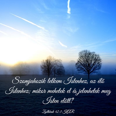 Picture 03 - Zsoltárok 42:3 KAR - Szomjuhozik lelkem Istenhez, az élõ Istenhez; - Bible Verse Picture