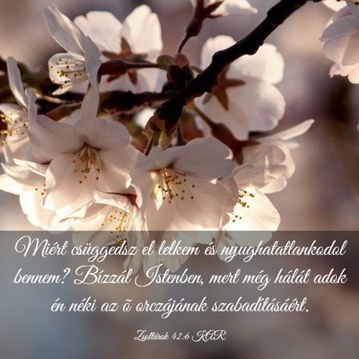 Picture 03 - Zsoltárok 42:6 KAR - Miért csüggedsz el lelkem és nyughatatlankodol - Bible Verse Picture