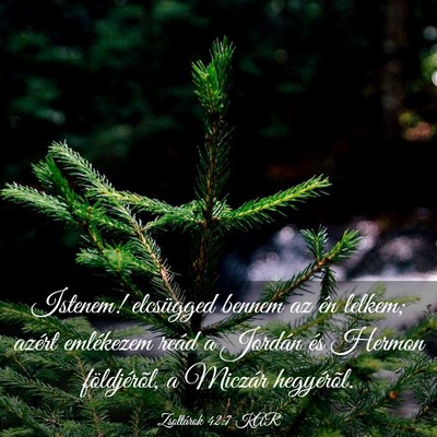 Picture 03 - Zsoltárok 42:7 KAR - Istenem! elcsügged bennem az én lelkem; azért - Bible Verse Picture