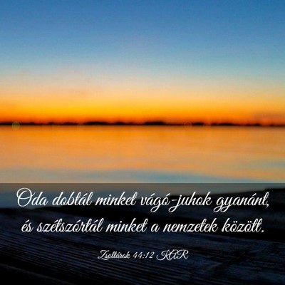 Picture 03 - Zsoltárok 44:12 KAR - Oda dobtál minket vágó-juhok gyanánt, és - Bible Verse Picture