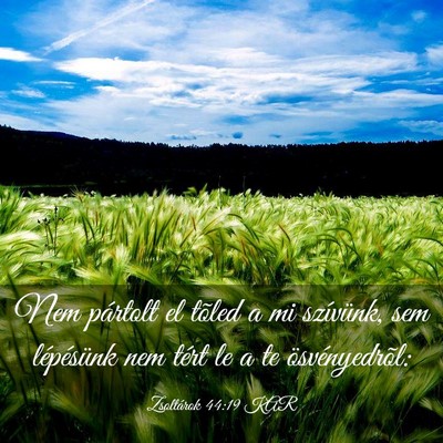 Picture 03 - Zsoltárok 44:19 KAR - Nem pártolt el tõled a mi szívünk, sem - Bible Verse Picture