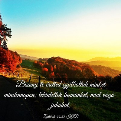 Picture 03 - Zsoltárok 44:23 KAR - Bizony te éretted gyilkoltak minket mindennapon; - Bible Verse Picture