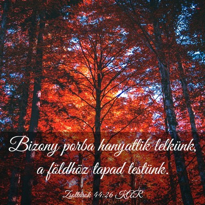 Picture 03 - Zsoltárok 44:26 KAR - Bizony porba hanyatlik lelkünk, a földhöz - Bible Verse Picture