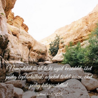 Picture 03 - Zsoltárok 44:3 KAR - Nemzeteket ûztél te ki saját kezeddel, õket - Bible Verse Picture